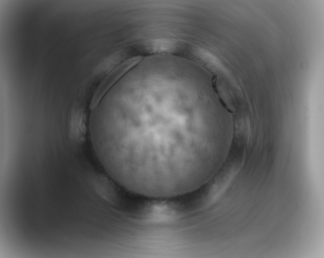 X0000089730264200707051744