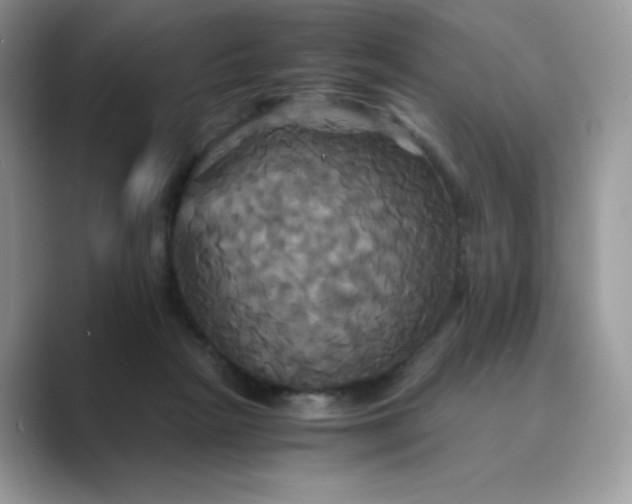 X0000089730265200707051744