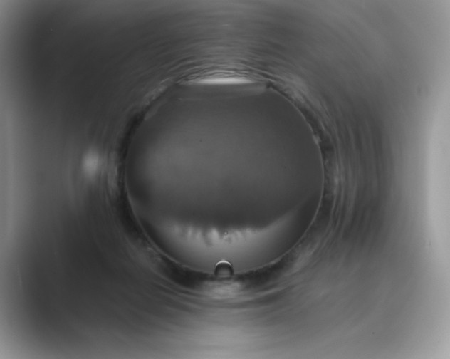X0000089730266200707051744