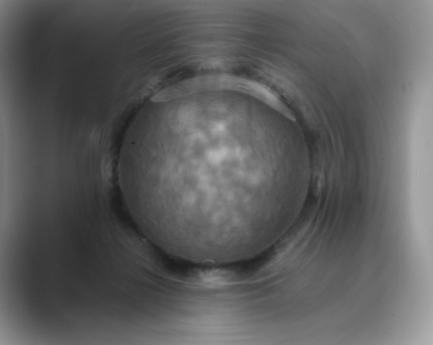X0000089730268200707051744