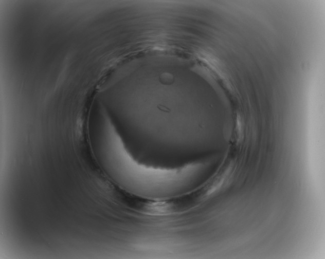 X0000089730269200707051744
