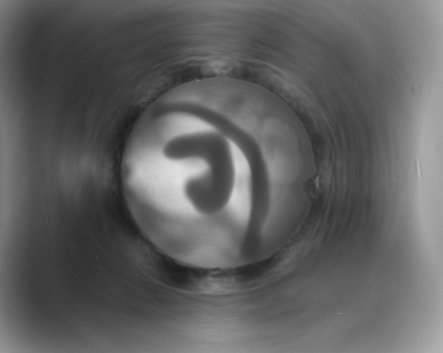X0000089730270200707051744