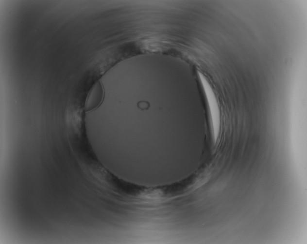 X0000089730271200707051744