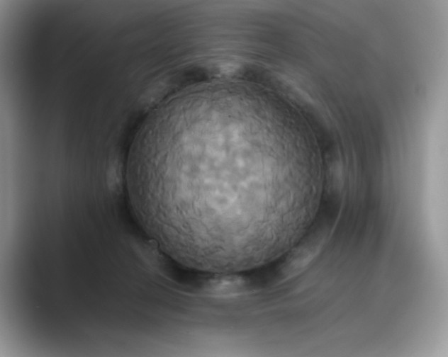 X0000089730274200707051744