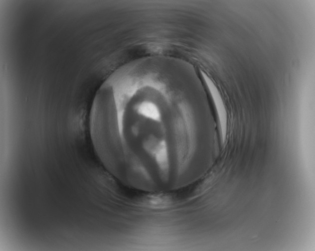 X0000089730275200707051744
