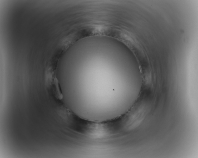 X0000089730276200707051744