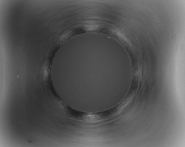 X0000089730277200707051744