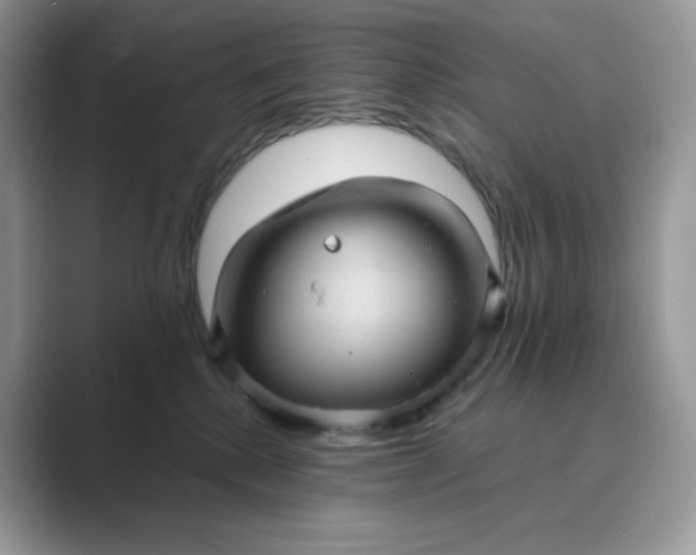 X0000089730280200707051744