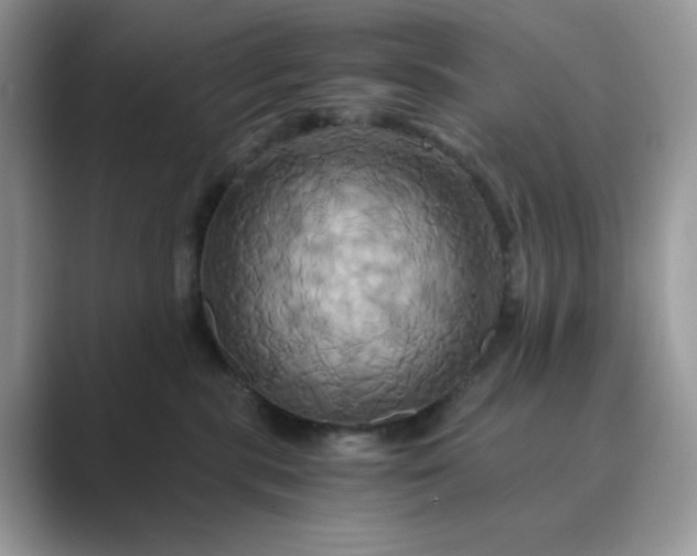 X0000089730283200707051744