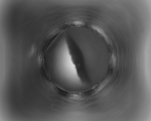 X0000089730285200707051744