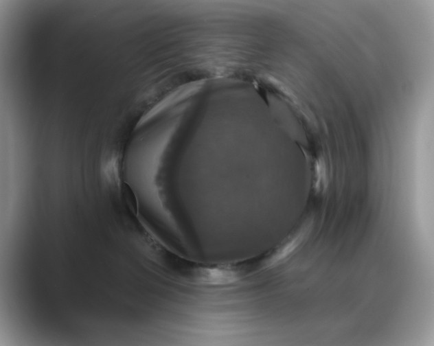 X0000089730286200707051744