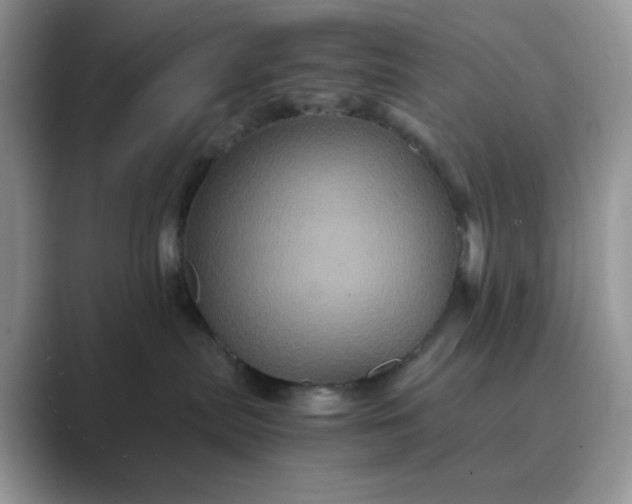 X0000089730287200707051744