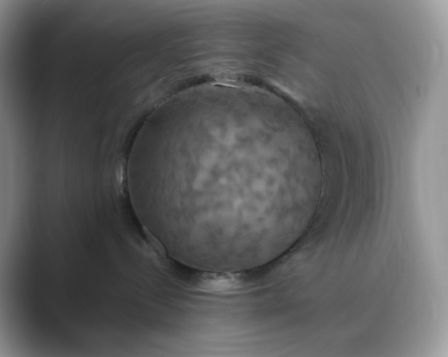 X0000089730288200707051744