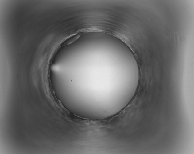 X0000089730289200707051744