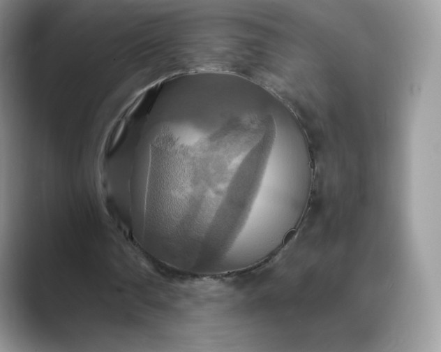 X0000089730290200707051744