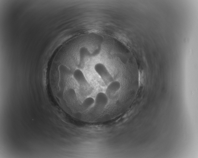 X0000089730291200707051744