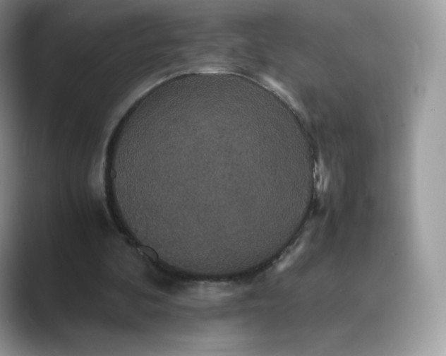 X0000089730292200707051744