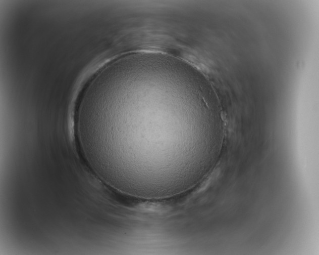 X0000089730294200707051744