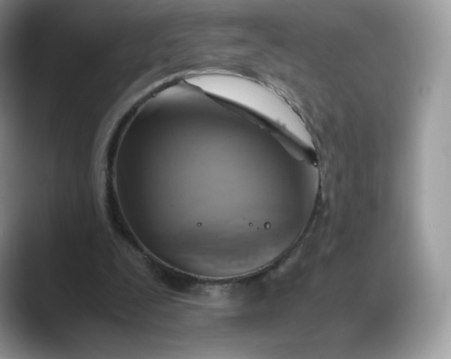 X0000089730295200707051744