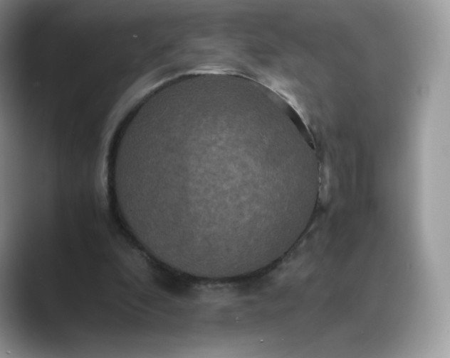 X0000089730296200707051744