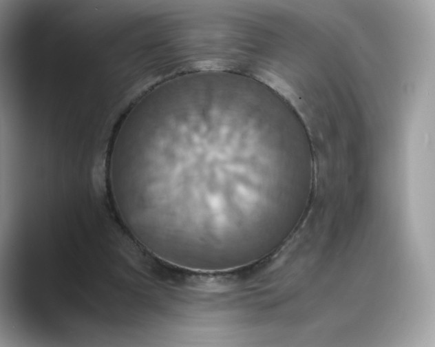 X0000089730297200707051744