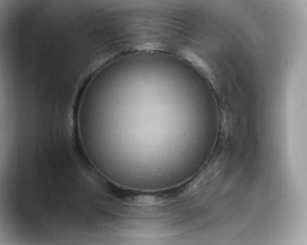 X0000089730298200707051744