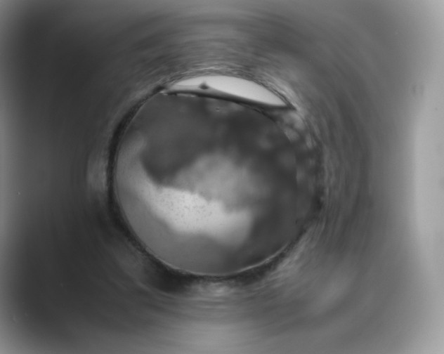 X0000089730299200707051744