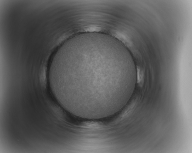 X0000089730300200707051744