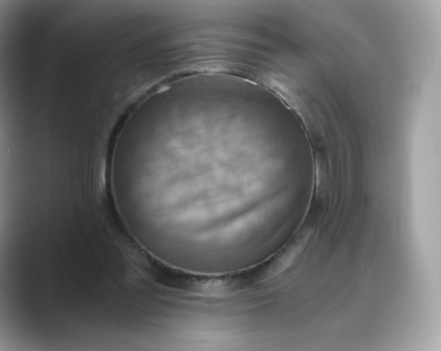 X0000089730301200707051744