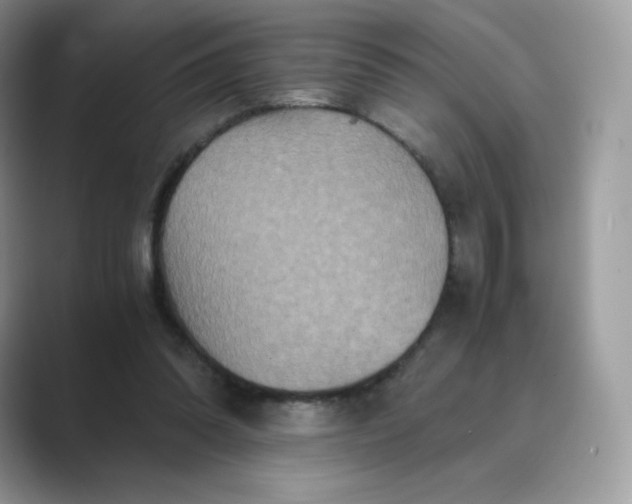 X0000089730302200707051744