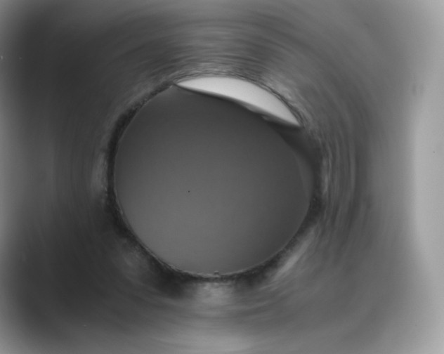 X0000089730303200707051744