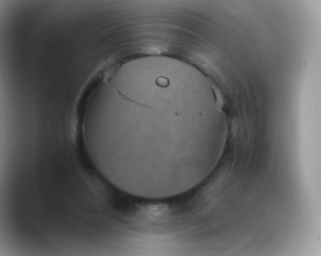 X0000089730304200707051744
