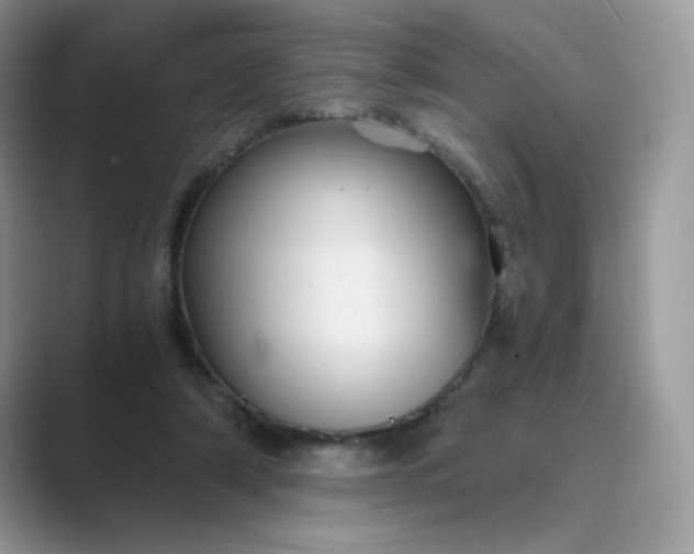 X0000089730306200707051744