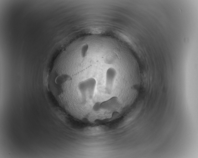X0000089730307200707051743