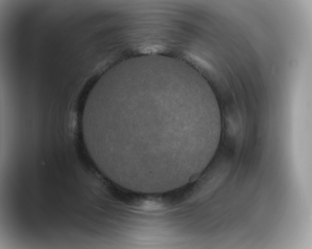 X0000089730308200707051743