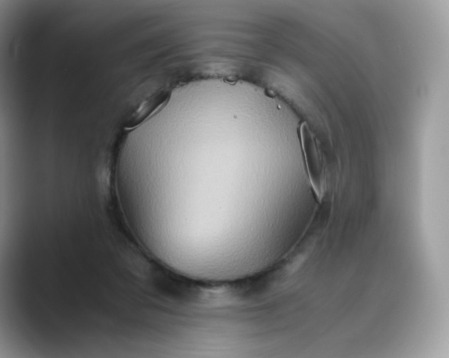 X0000089730309200707051743