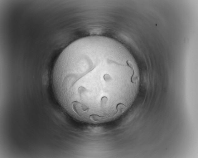X0000089730311200707051743