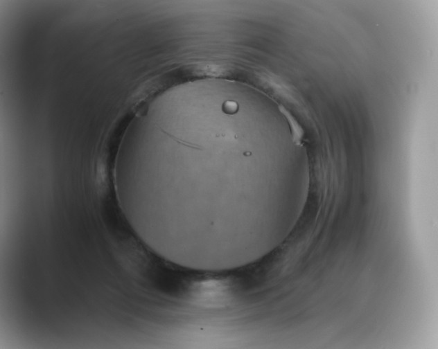 X0000089730312200707051743