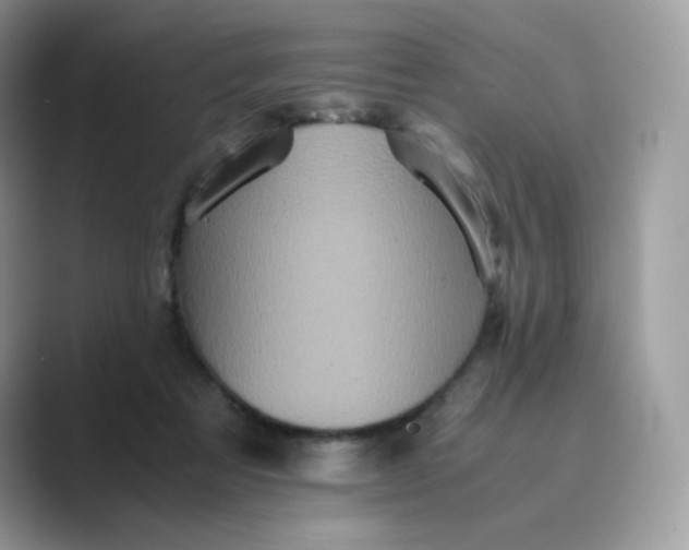 X0000089730313200707051743