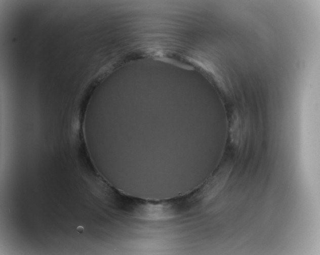 X0000089730314200707051743