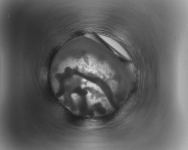 X0000089730315200707051743
