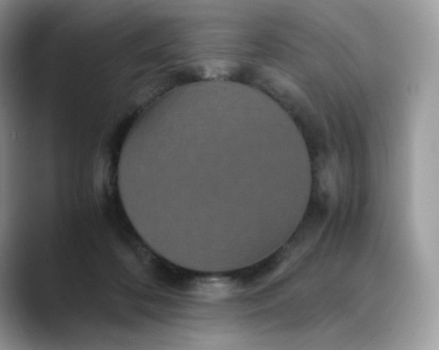 X0000089730316200707051743