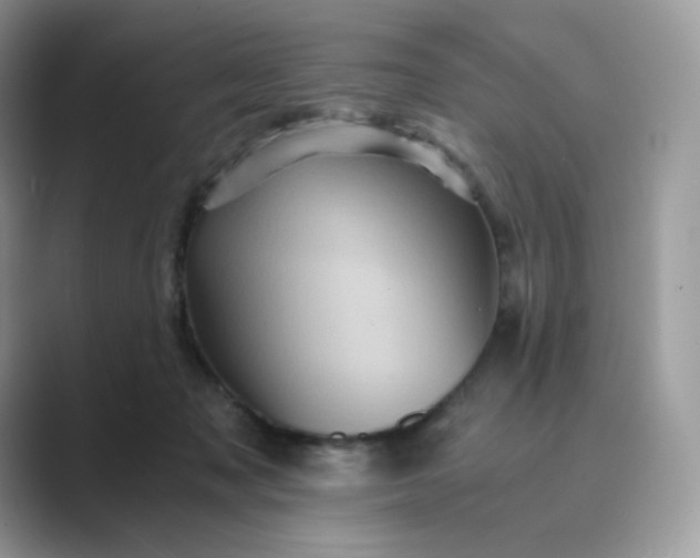 X0000089730317200707051743