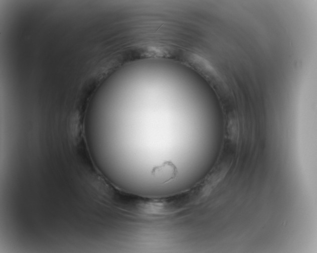 X0000089730318200707051743