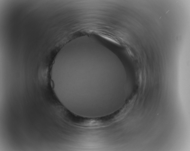 X0000089730319200707051743