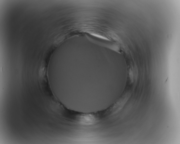 X0000089730322200707051743