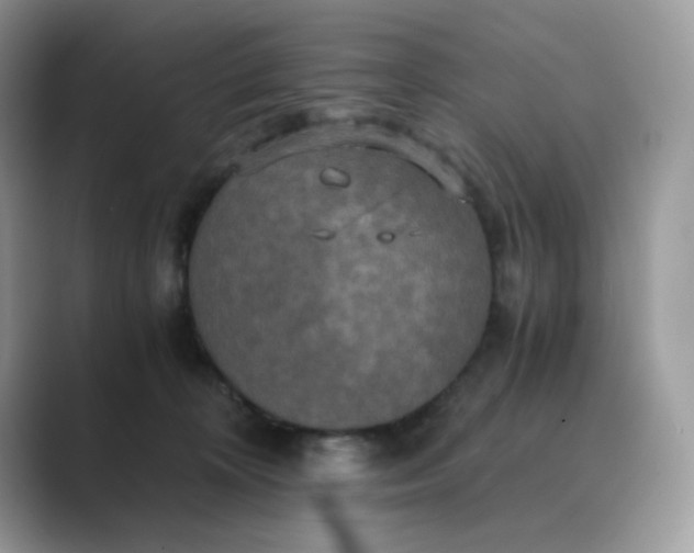 X0000089730324200707051743