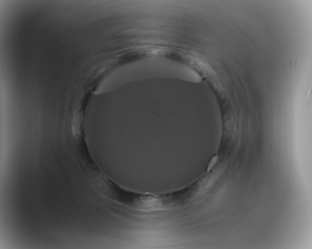 X0000089730325200707051743