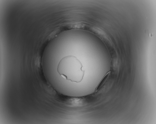 X0000089730326200707051743
