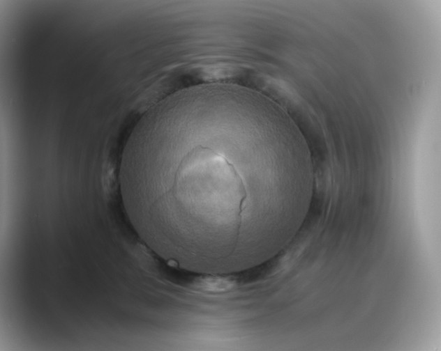 X0000089730327200707051743